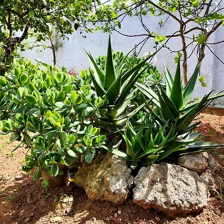 Apartamento A Casa Di Raffaella E Antonio Surbo